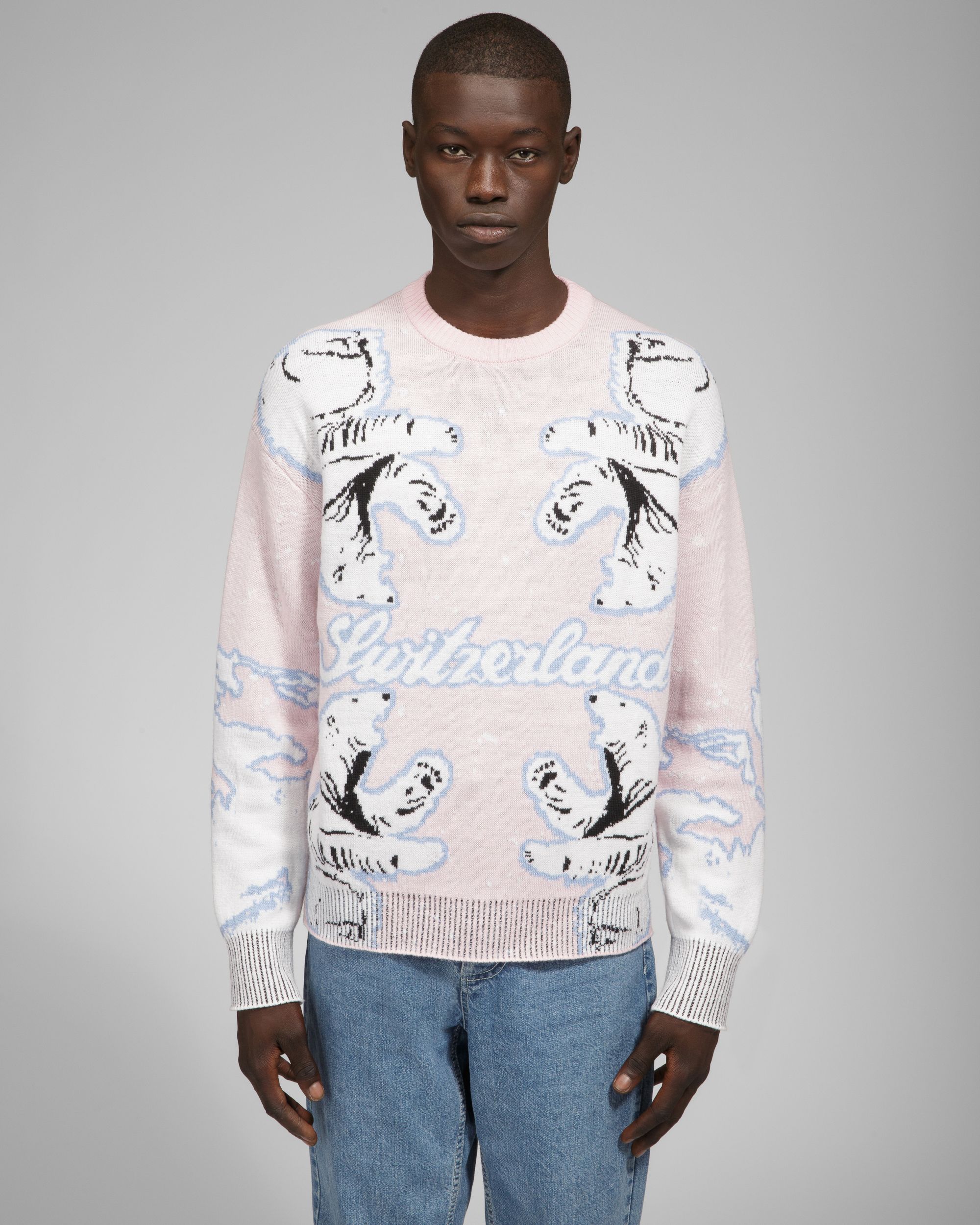 Bally Global - Merino Wool Crew Neck In Pink & Bone - Multicolor