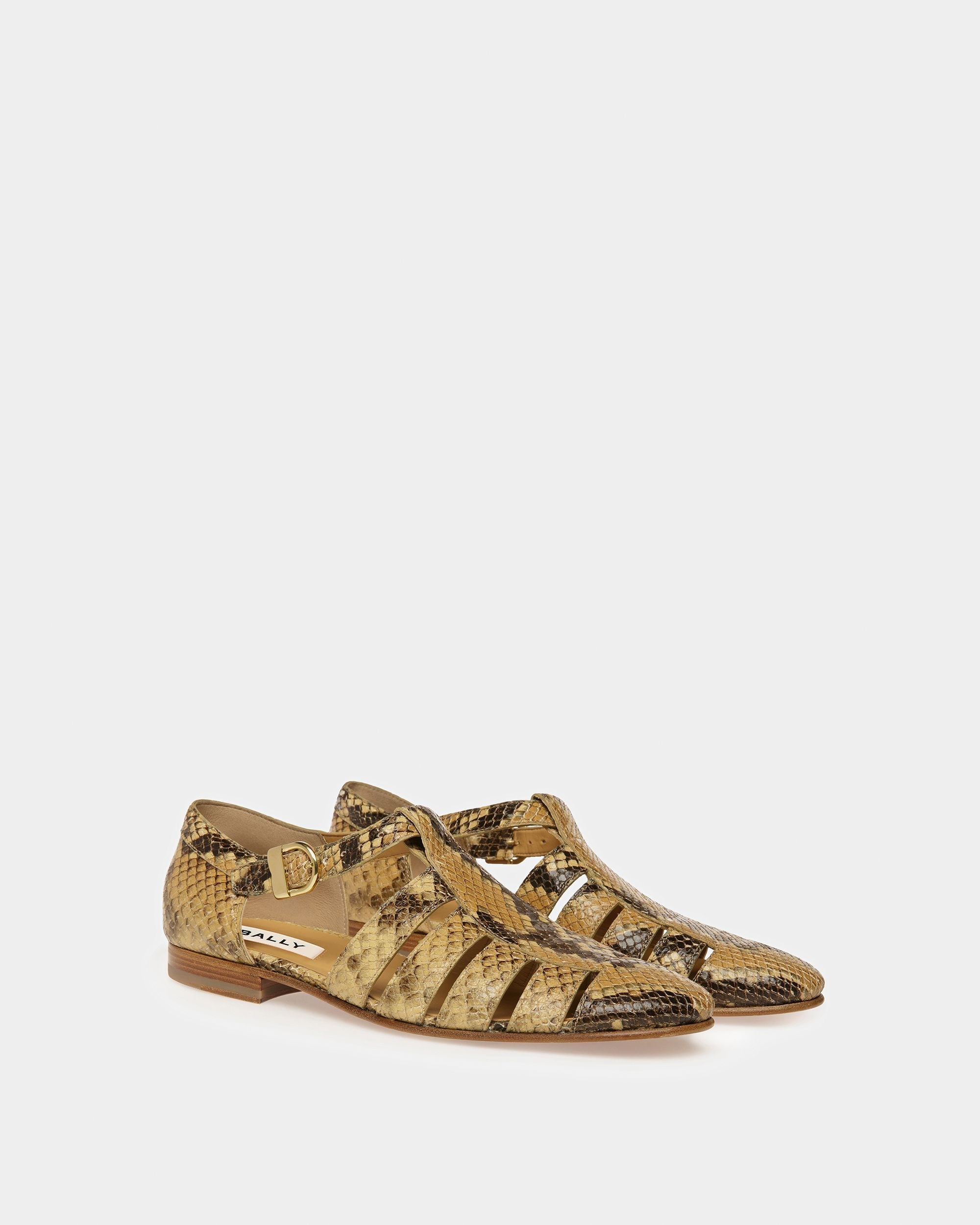Bally Global - Salton Sandals In Python Print - Brown