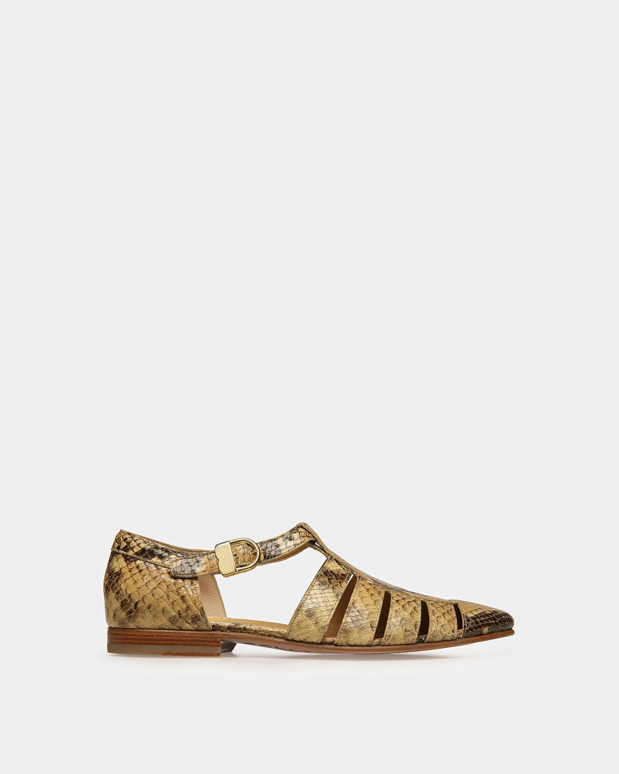 Bally Global - Salton Sandals In Python Print - Brown