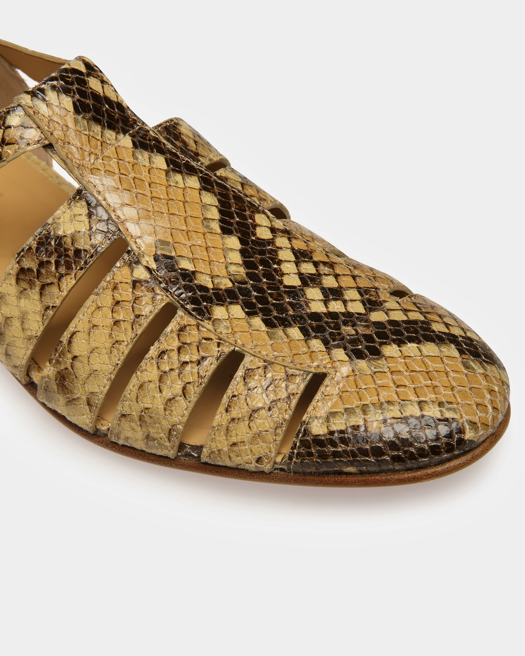 Bally Global - Salton Sandals In Python Print - Brown