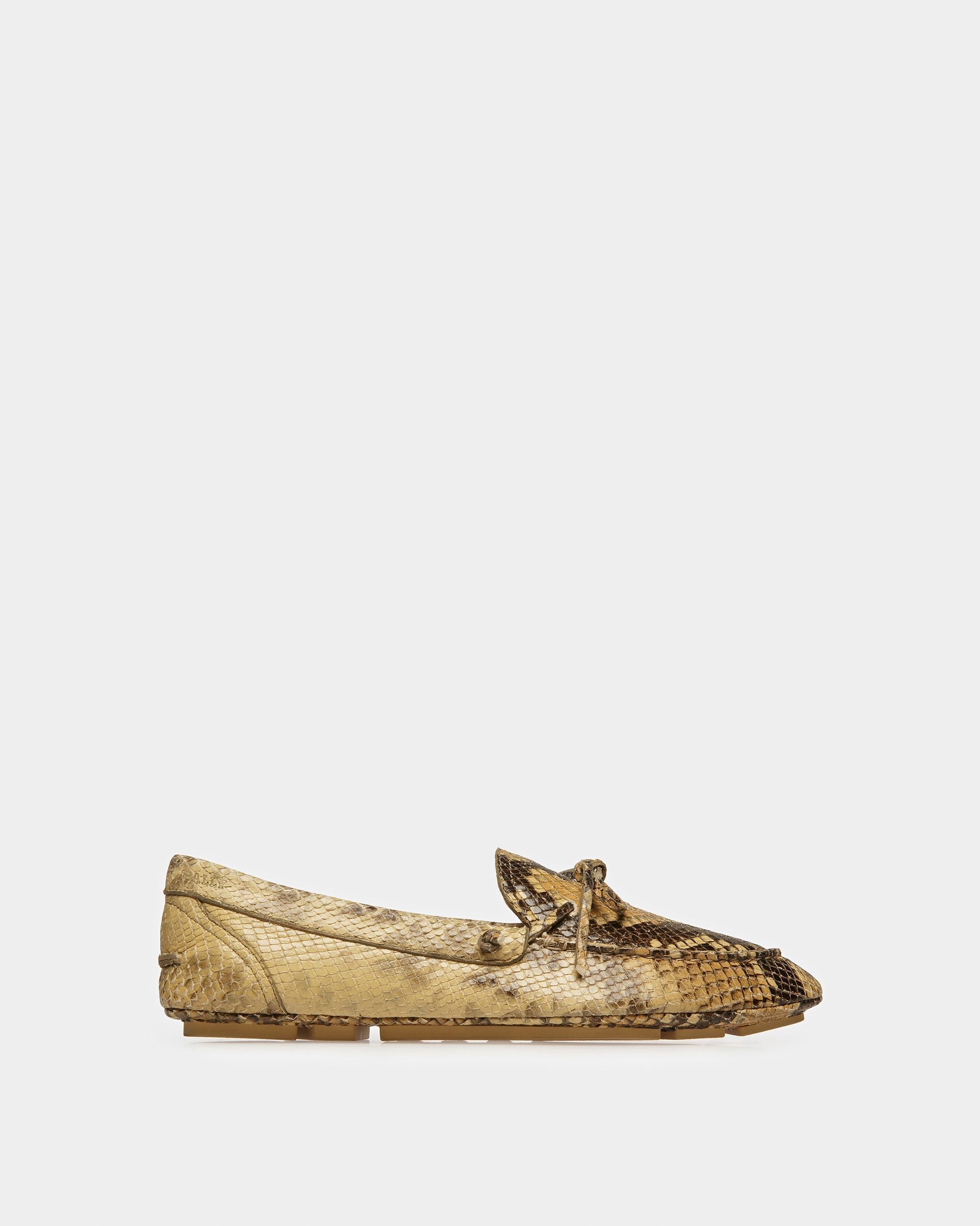 Bally Global - Hansen Drivers In Python Print - Brown