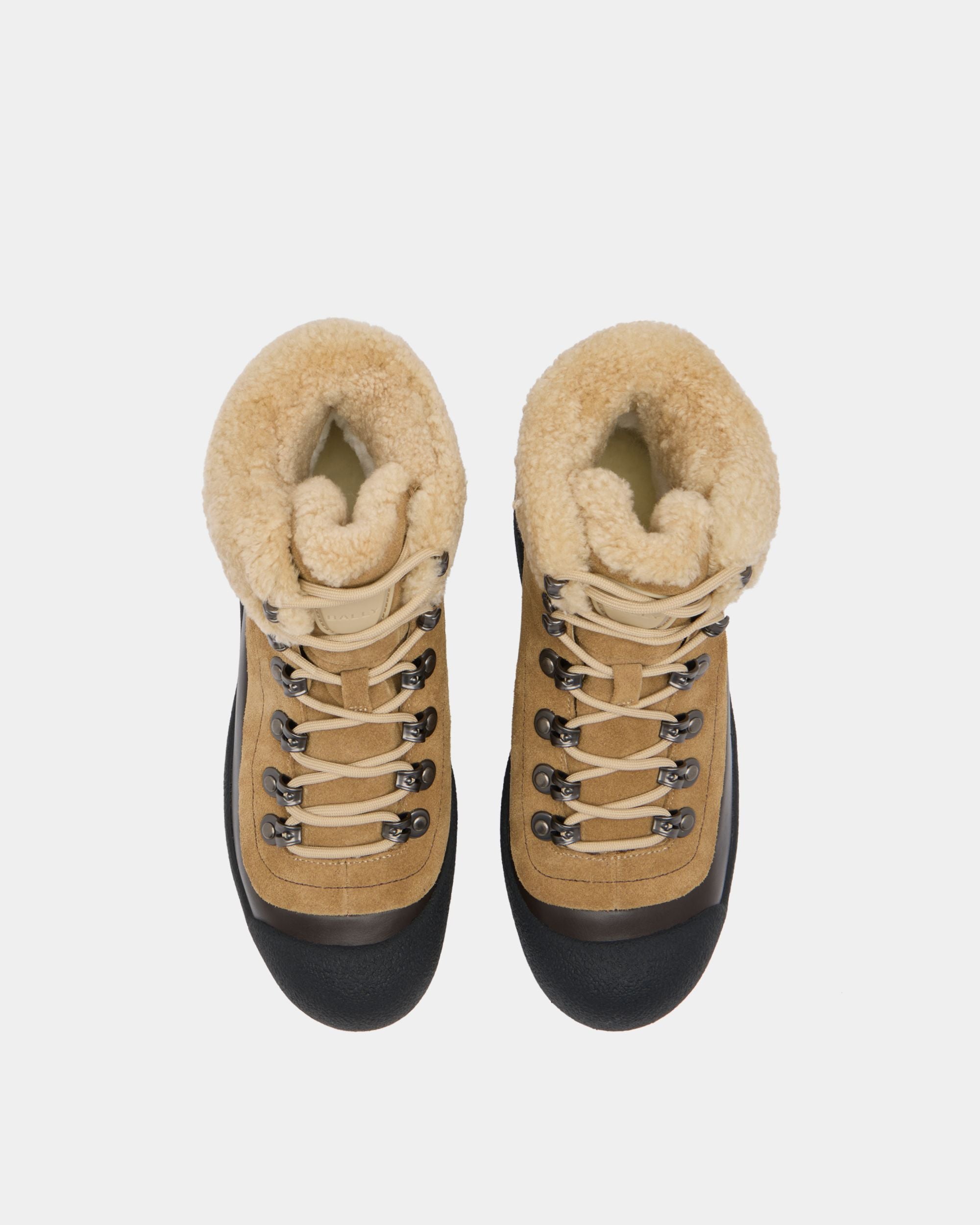 Bally Global -  - 