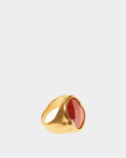 Anillo Frame De Oro Martillado